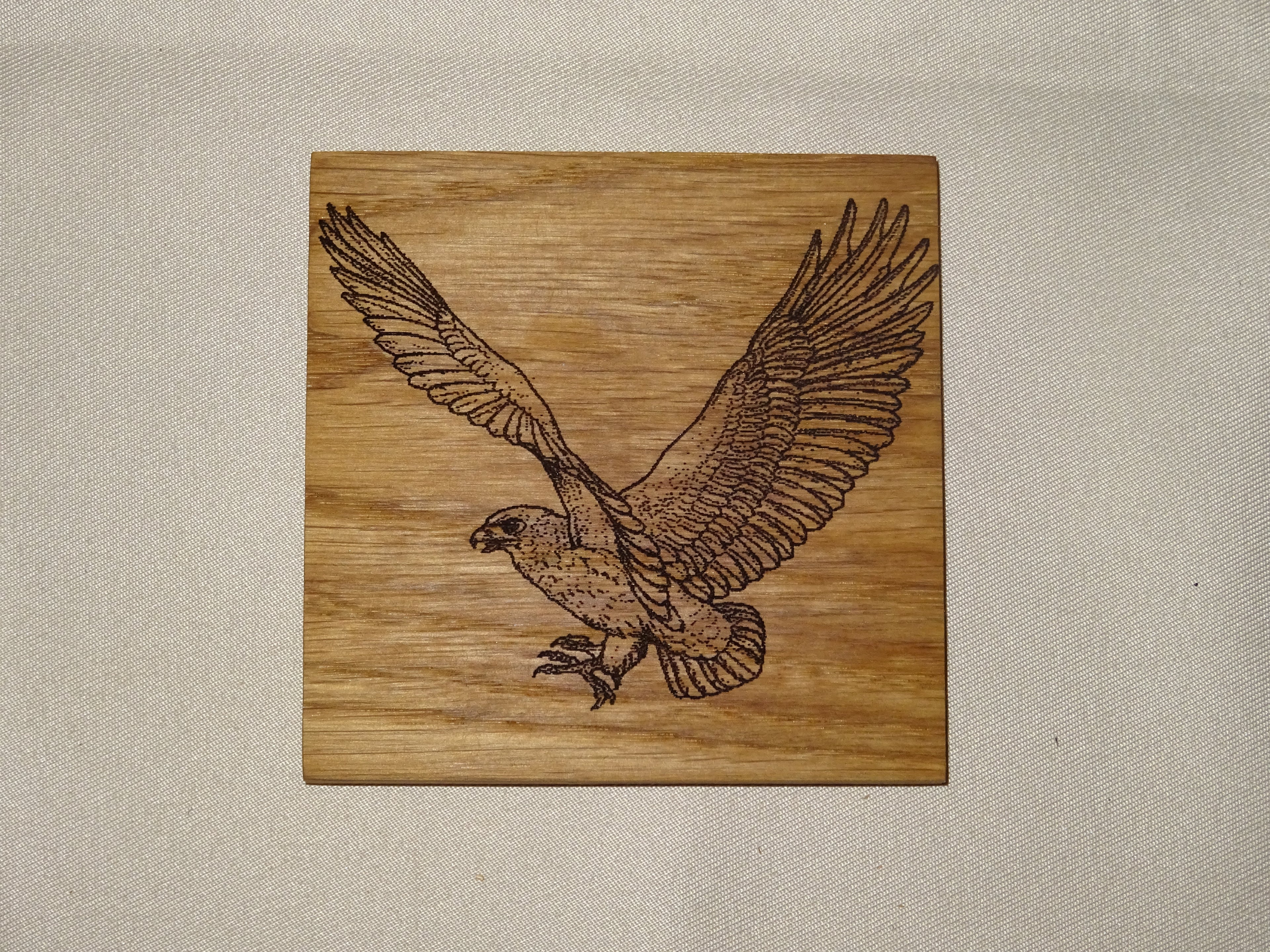 Dieren onderzetters.