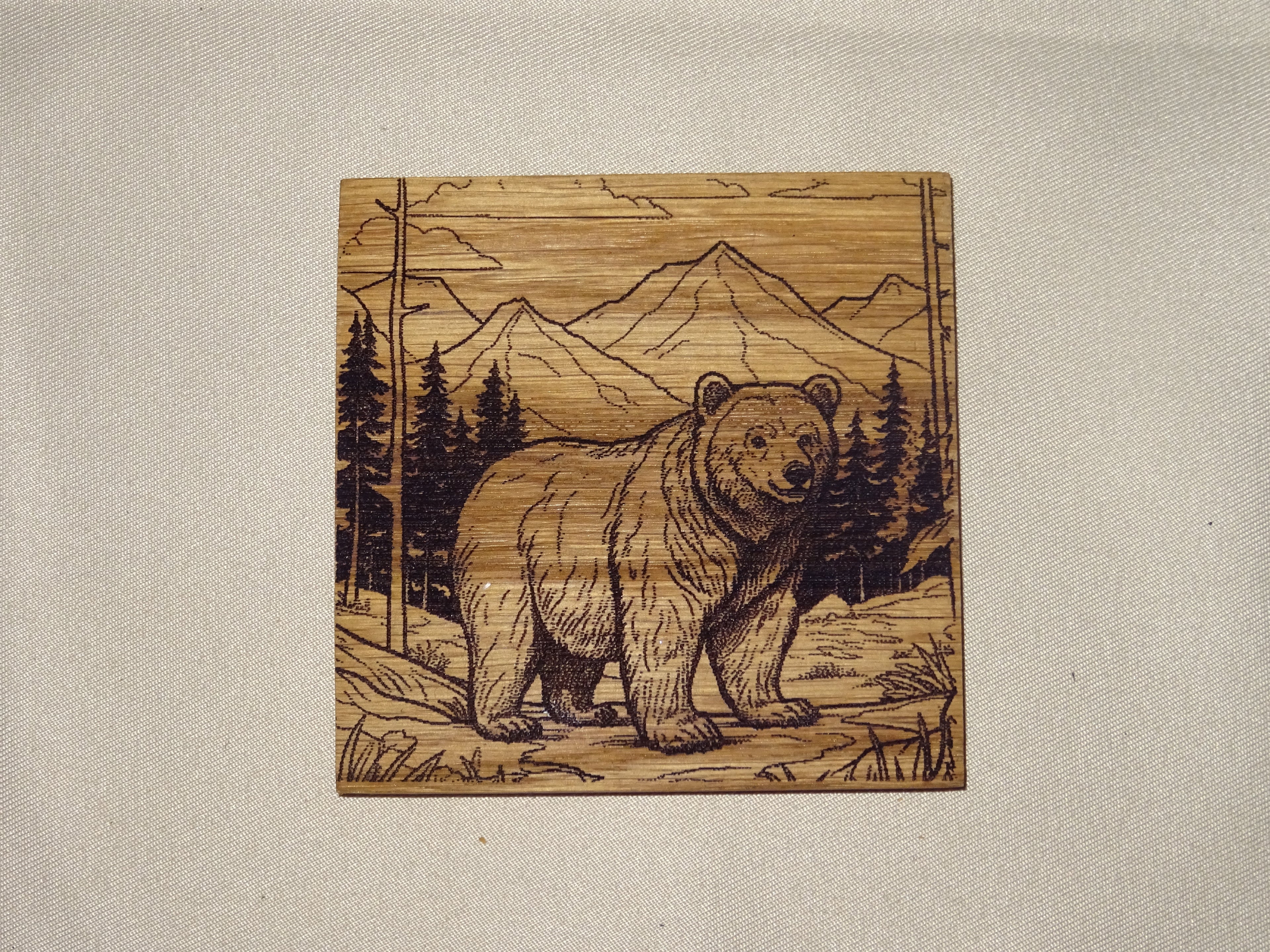 Dieren onderzetters.