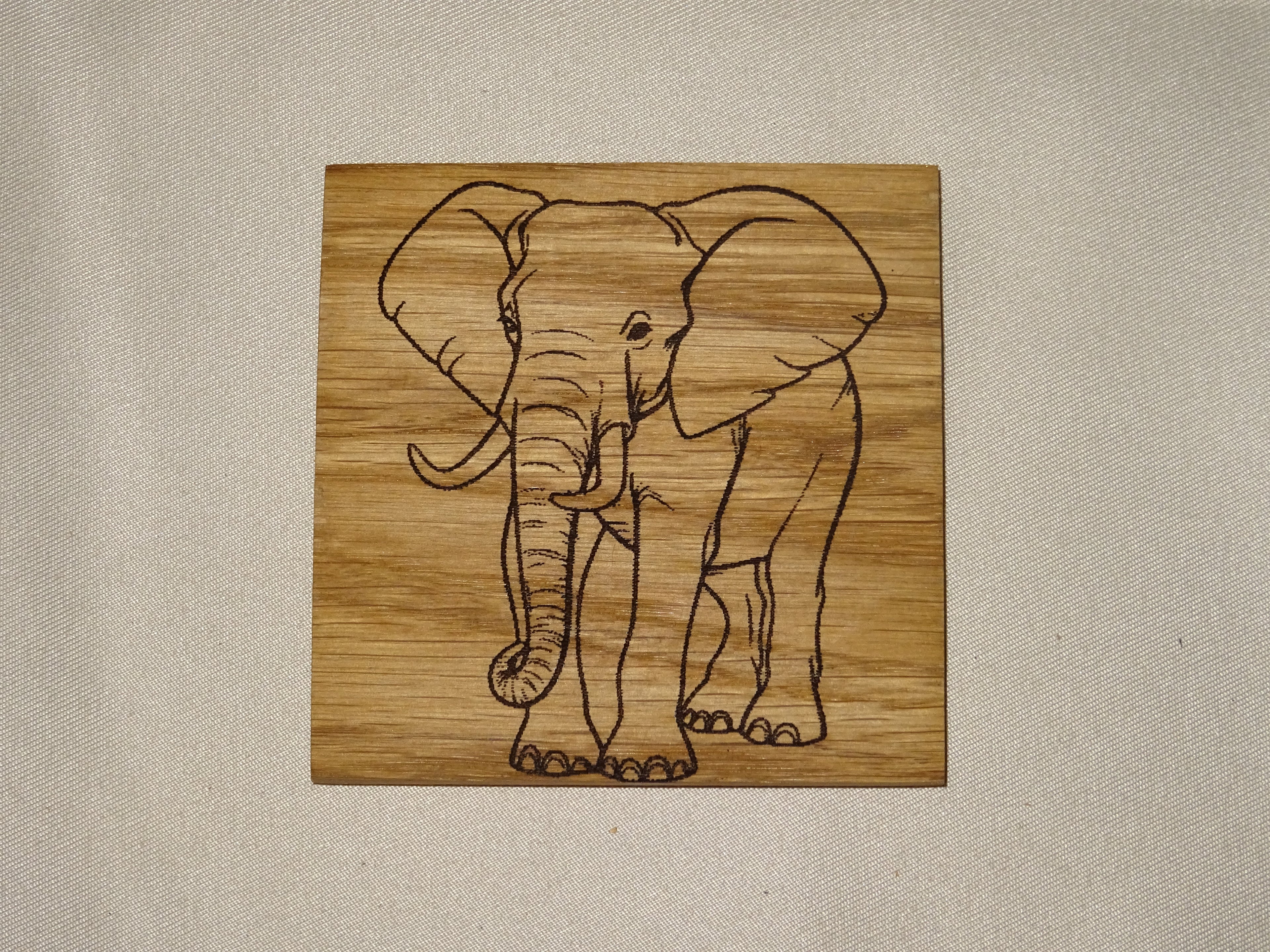 Dieren onderzetters.