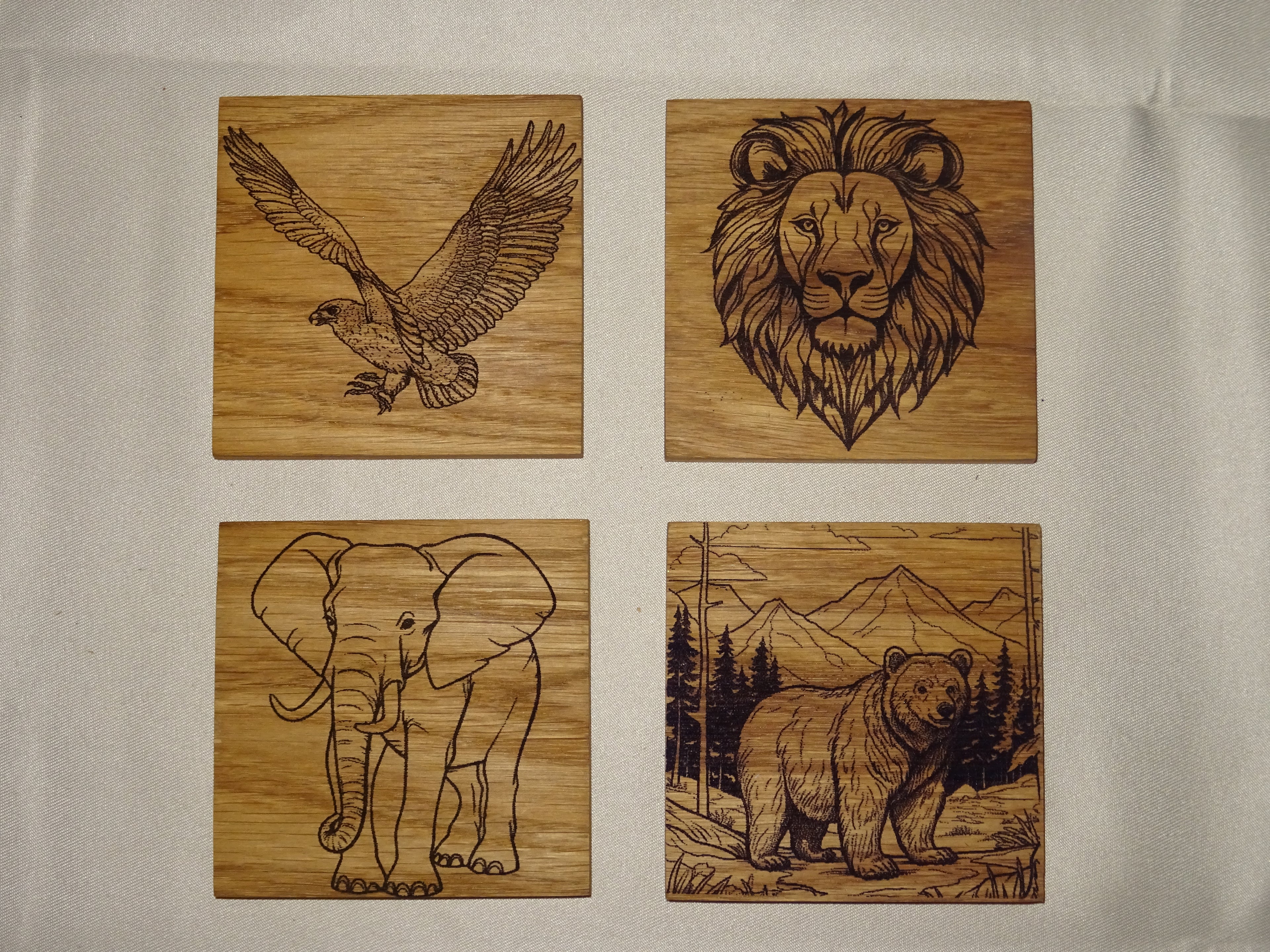 Dieren onderzetters.